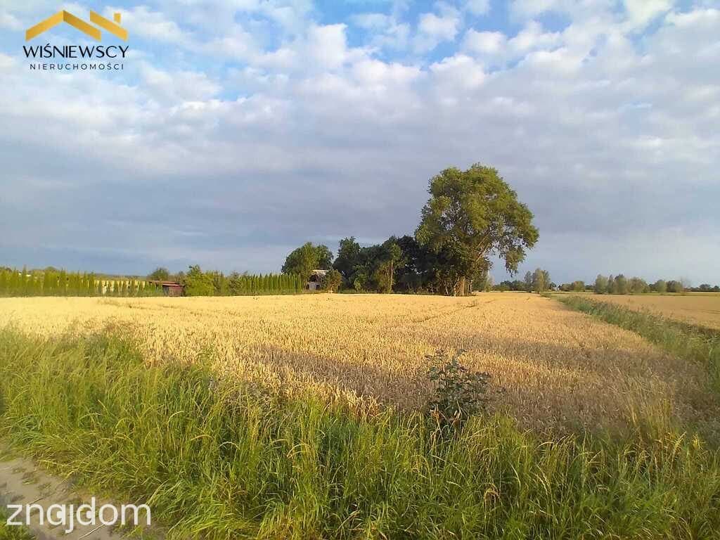 Działka pod agroturystykę Kobyla Kępa - zdjęcie 7