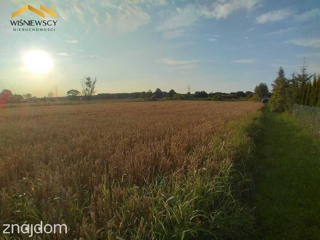 Działka pod agroturystykę Kobyla Kępa - zdjęcie 9
