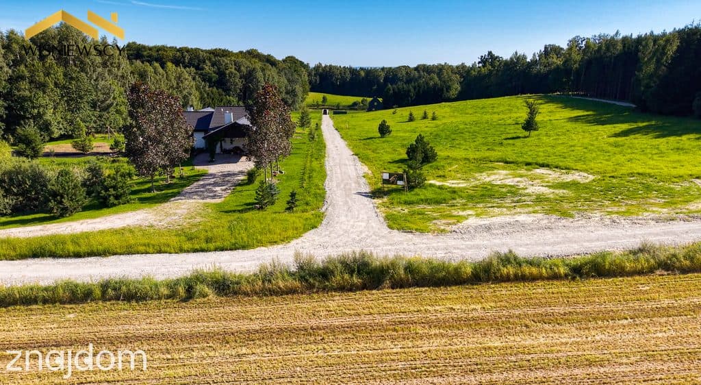 Rogowo 2,9 ha ze stawem i działką pod dom - zdjęcie 11