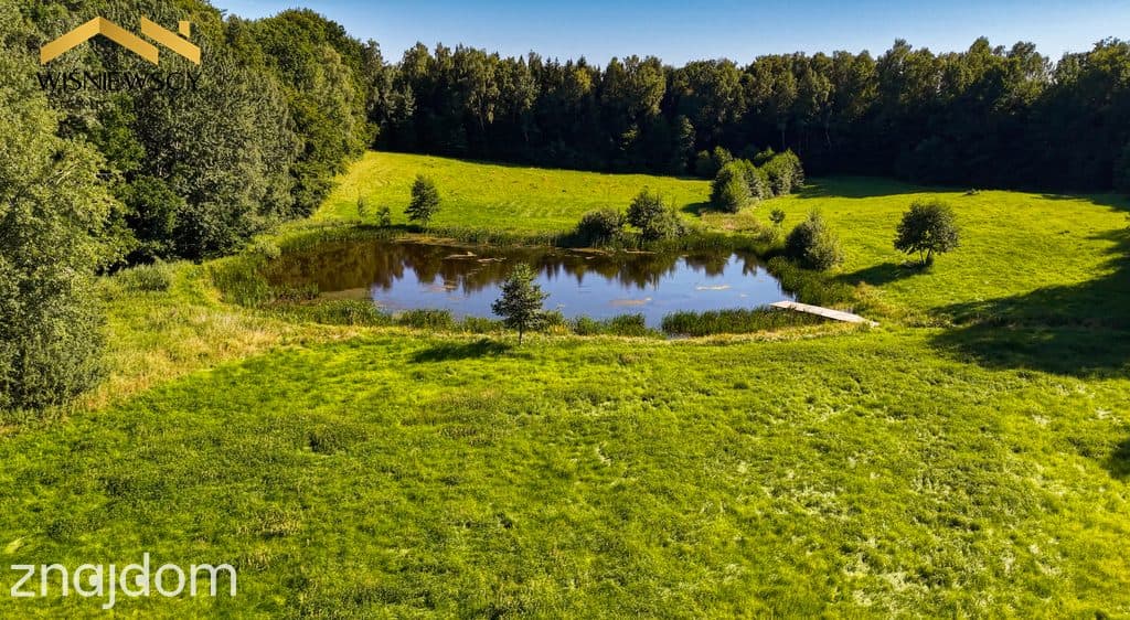 Rogowo 2,9 ha ze stawem i działką pod dom - zdjęcie 12