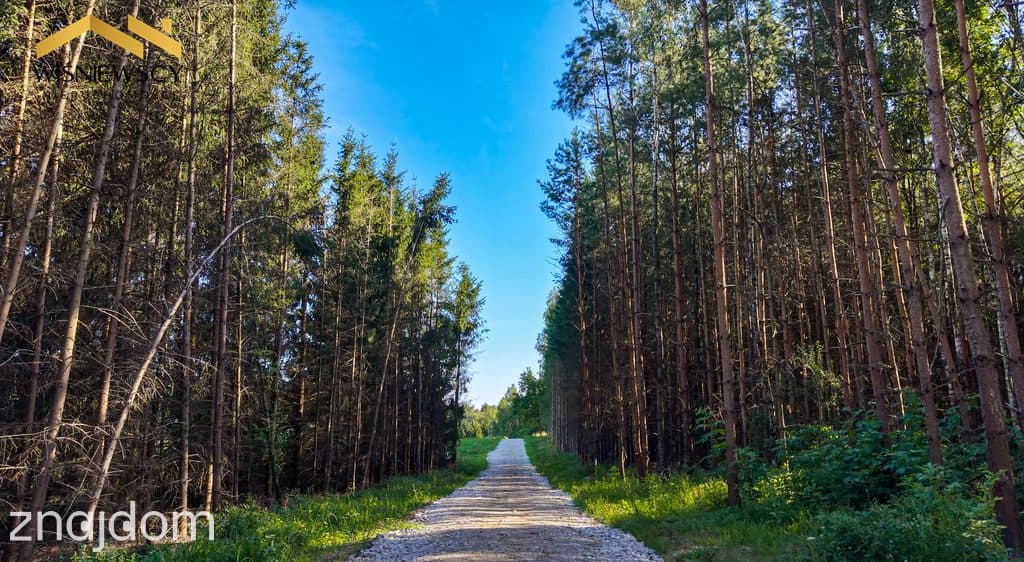 Działka 1028 m² z WZ wśród natury – Rogowo - zdjęcie 11