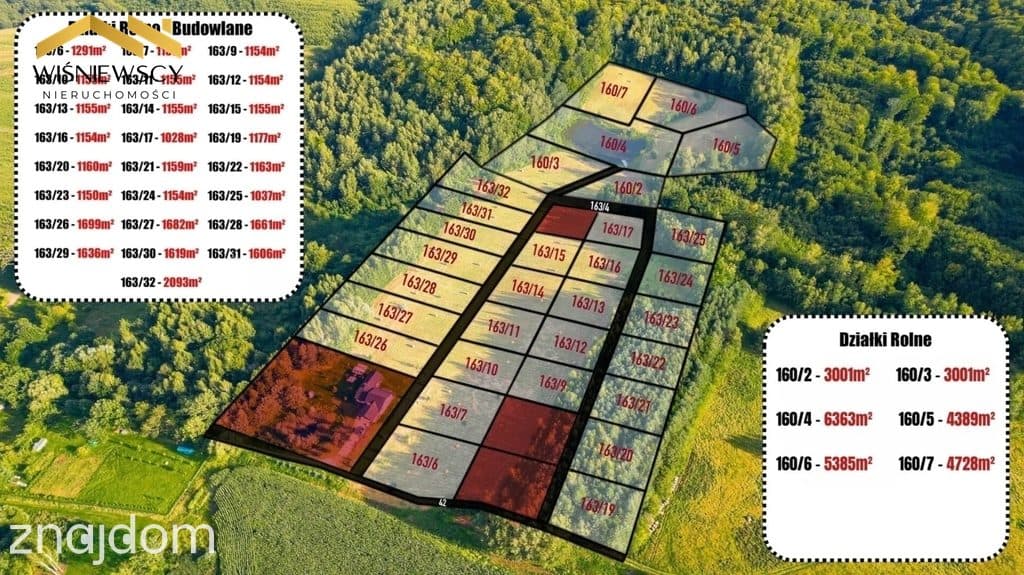 Kompleks 30 działek – projekt inwestycyjny, Rogowo - zdjęcie 7