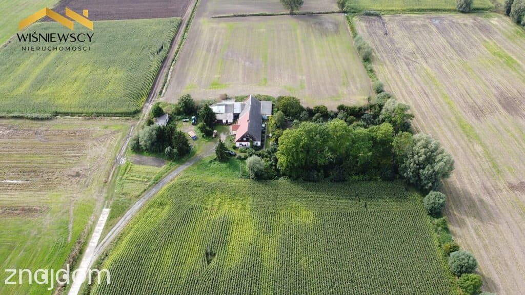 Dom z ogrodem i sadem Raczki Elbląskie/ Elbląg - zdjęcie 18