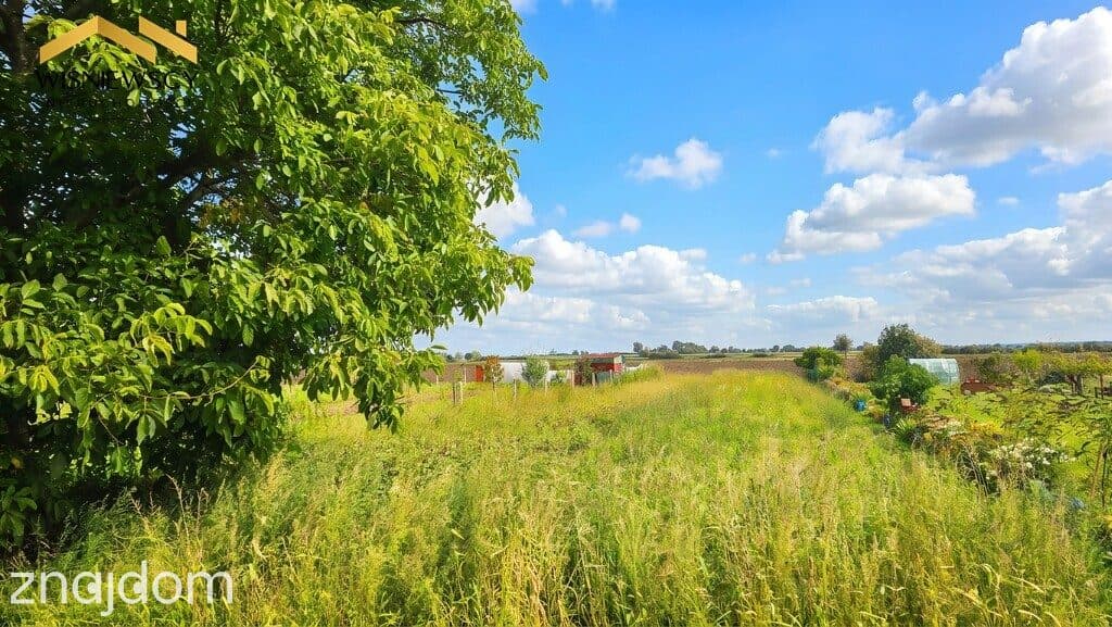 2 pokoje z dużą piwnicą | Marynowy - zdjęcie 8