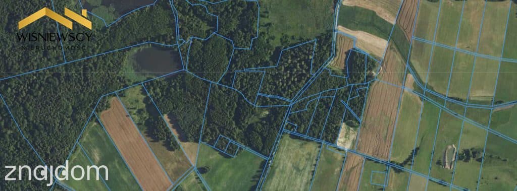 Las 1,67 ha – Dobry, gm. Godkowo - zdjęcie 2