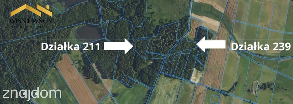 Las 1,67 ha – Dobry, gm. Godkowo