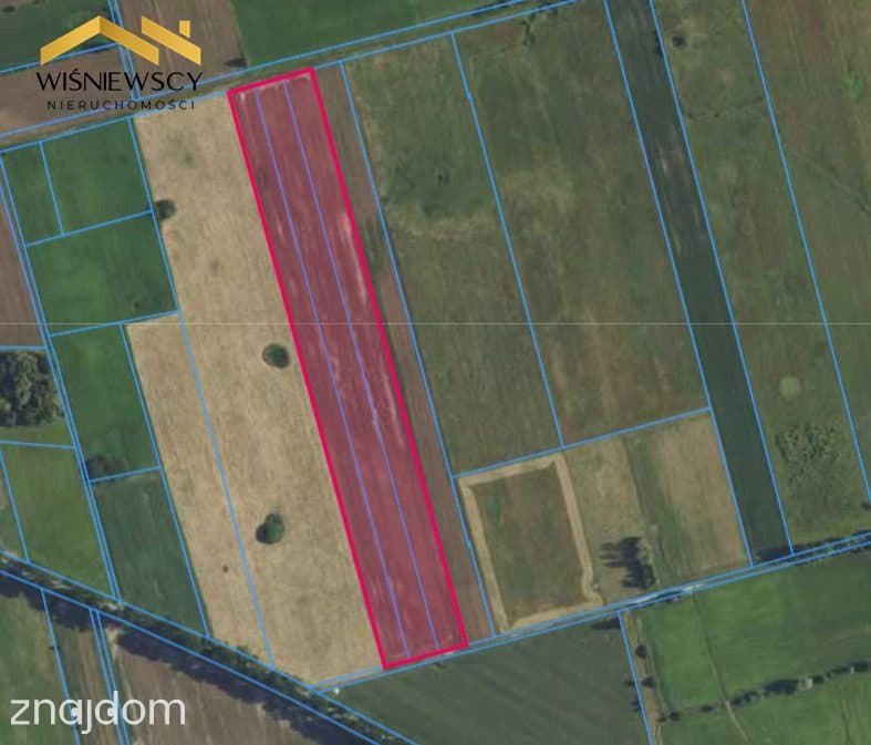 Grunty rolne 4,65 ha – Dobry, gm. Godkowo - zdjęcie 3