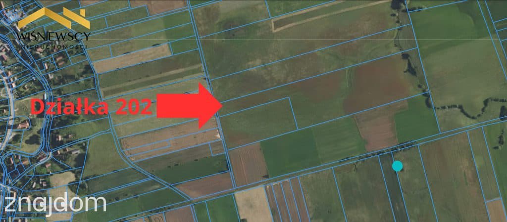 Grunty rolne 8,21 ha – Dobry, gm. Godkowo - zdjęcie 5