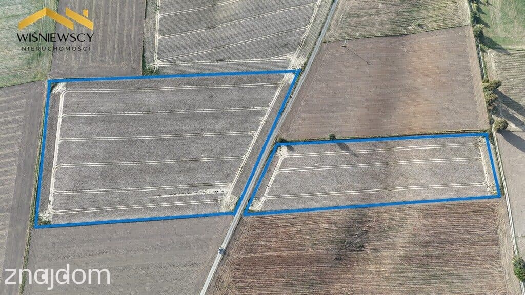 Siedlisko - dom 153 m² i 11,29 ha ziemi rolnej – Laskowice, gm.Prabuty - zdjęcie 6