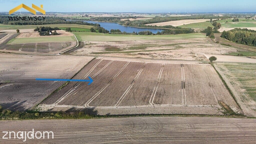 Siedlisko - dom 153 m² i 11,29 ha ziemi rolnej – Laskowice, gm.Prabuty - zdjęcie 9