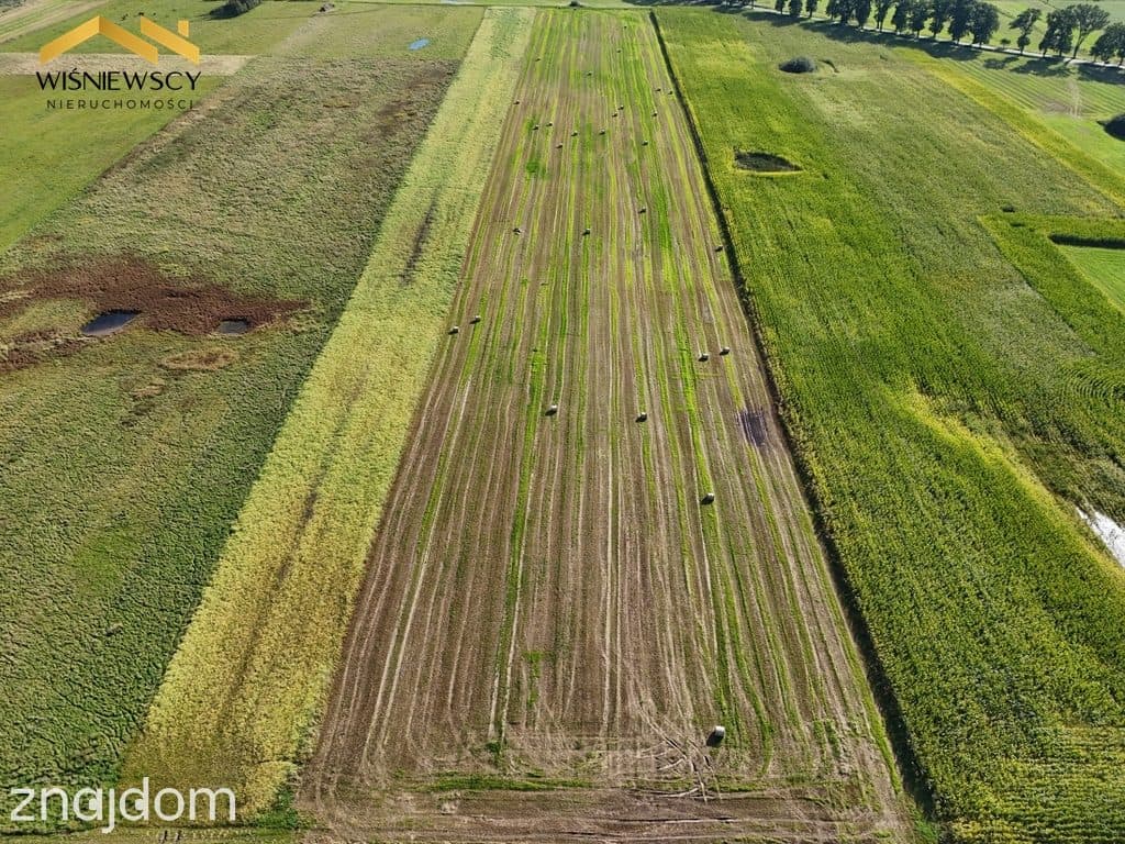 Grunty rolne 4,65 ha – Dobry, gm. Godkowo - zdjęcie 10
