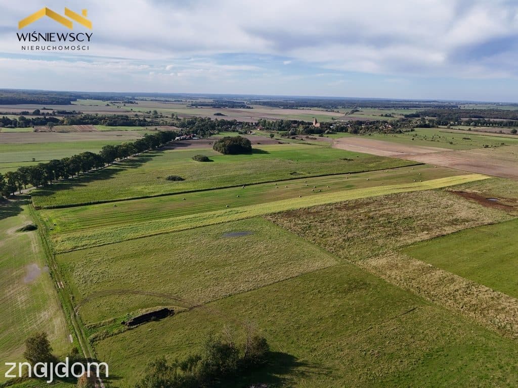 Grunty rolne 4,65 ha – Dobry, gm. Godkowo - zdjęcie 2