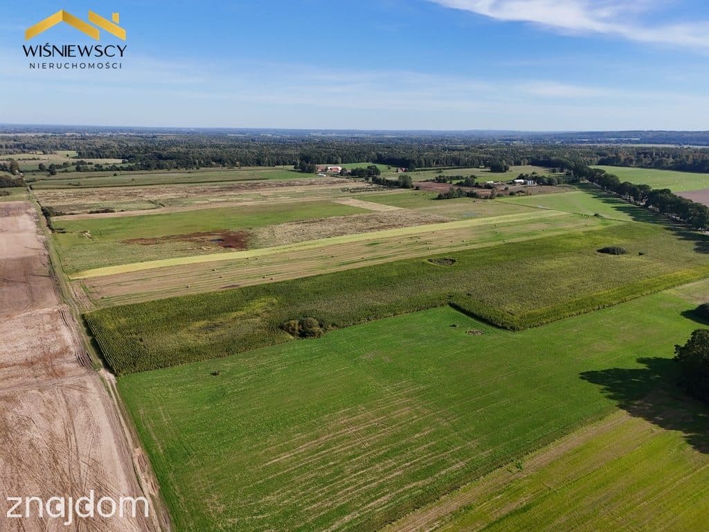 Grunty rolne 4,65 ha – Dobry, gm. Godkowo - zdjęcie 11