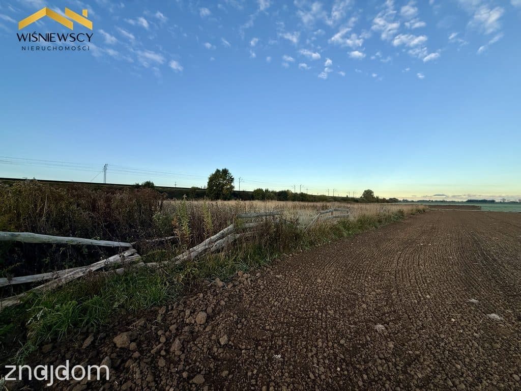 Działka 4202 m² w Kościeleczkach – blisko Malborka | 149 000 zł - zdjęcie 4