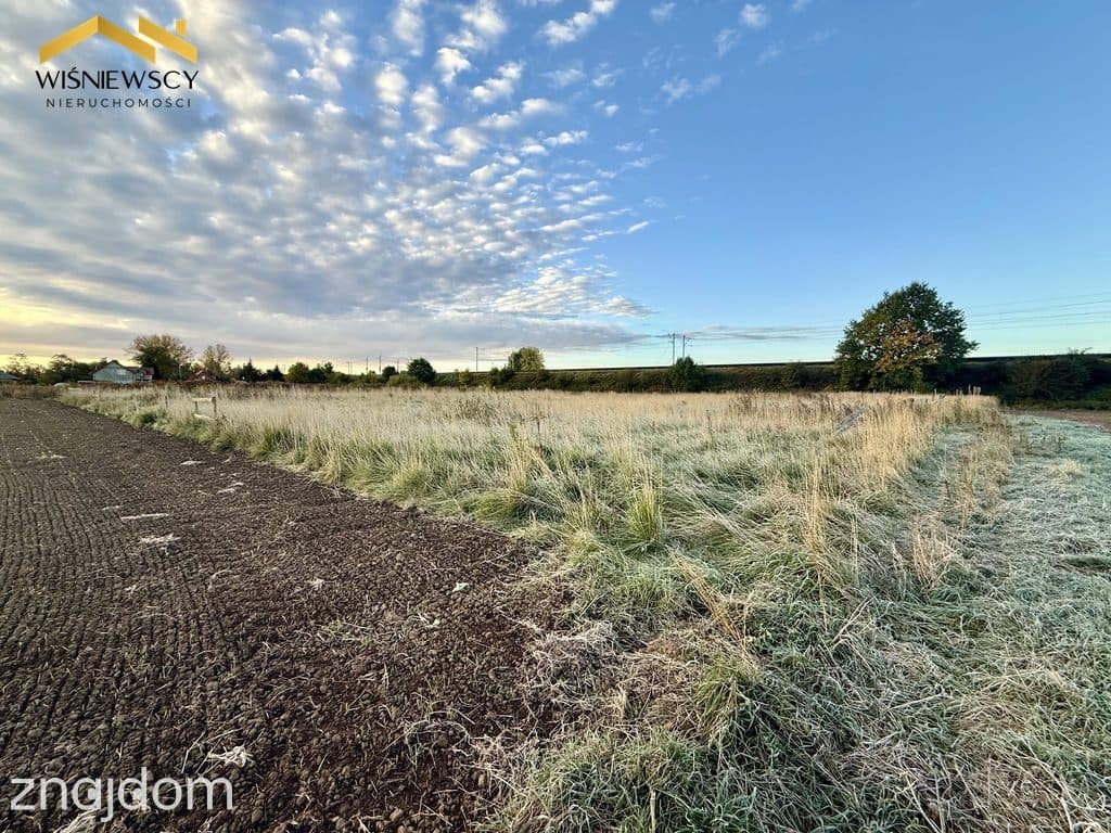 Działka 4202 m² w Kościeleczkach – blisko Malborka | 149 000 zł
