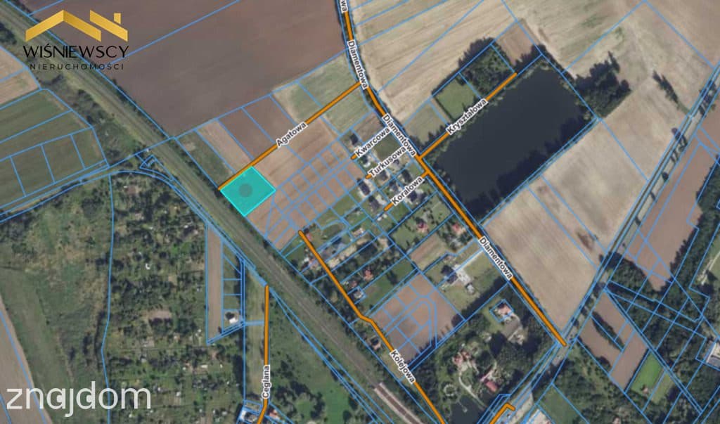 Działka 4202 m² w Kościeleczkach – blisko Malborka | 149 000 zł - zdjęcie 6