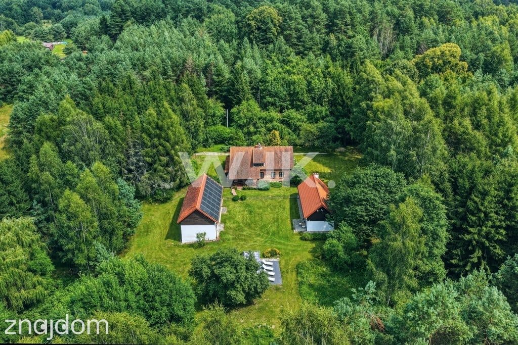 3,34ha, 165m2 budynek główny, blisko Olsztyna - zdjęcie 5