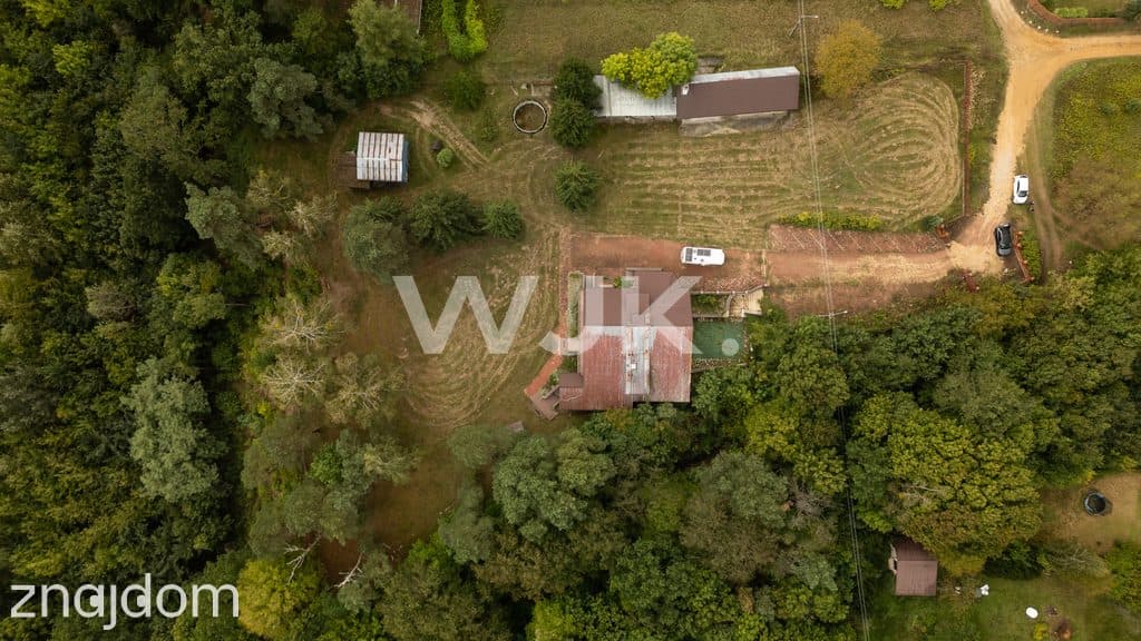450m2, 12 pokoi, pod działalność, Narew - zdjęcie 8