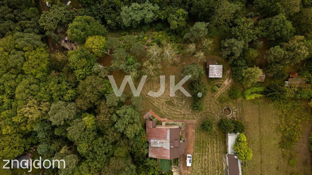 450m2, 12 pokoi, pod działalność, Narew - zdjęcie 9