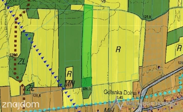 Działki rolne na sprzedaż – Golanka Dolna, - zdjęcie 3