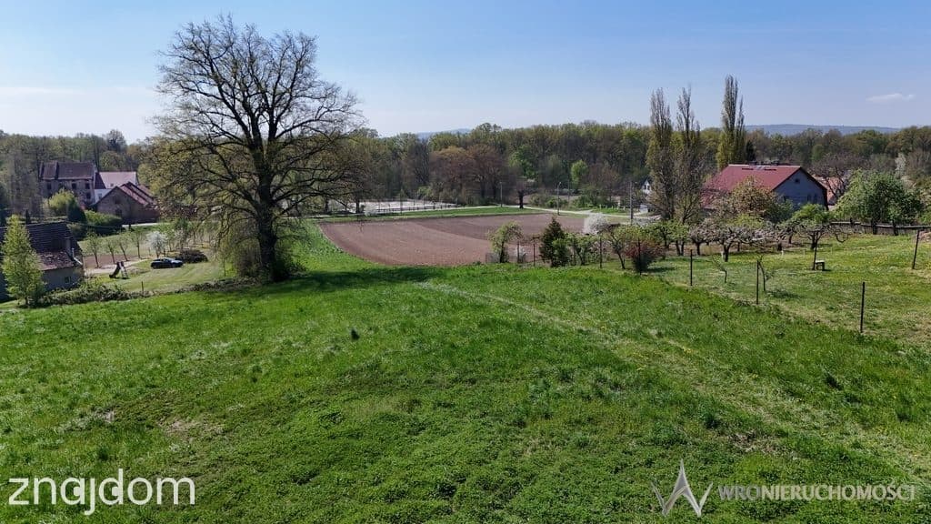 Działka pod dębem * Strzelin * 2900 m2 - zdjęcie 2