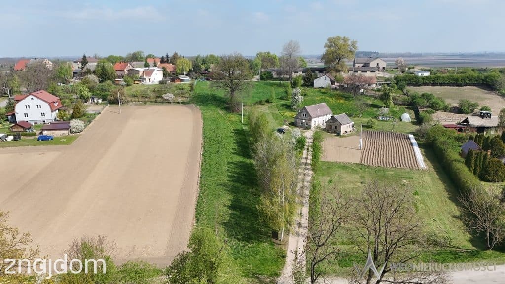 Działka pod dębem * Strzelin * 2900 m2 - zdjęcie 6