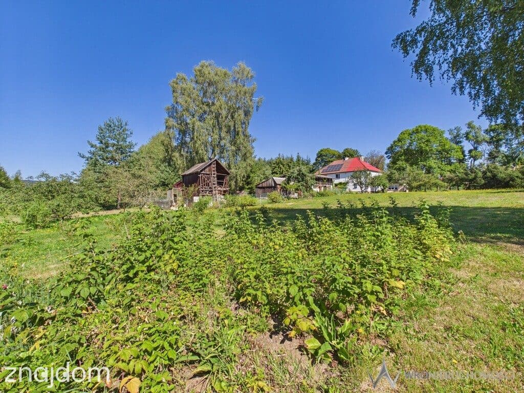 Działka 1.25ha I Prywatny Staw I Ogromny potencjał - zdjęcie 13