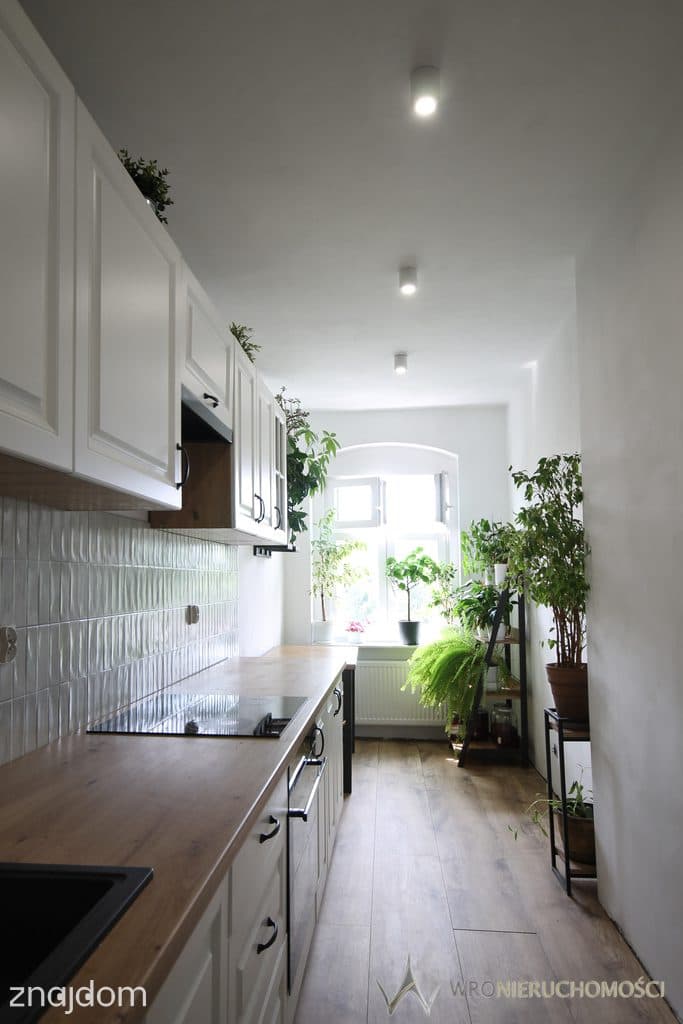 65m2 * kamienica * centrum Wrocławia * inwestycja - zdjęcie 7