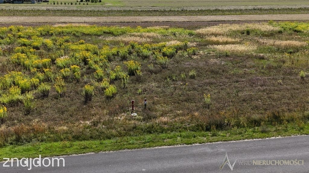 2100 m2 * Działka budowlana z WZ - zdjęcie 6