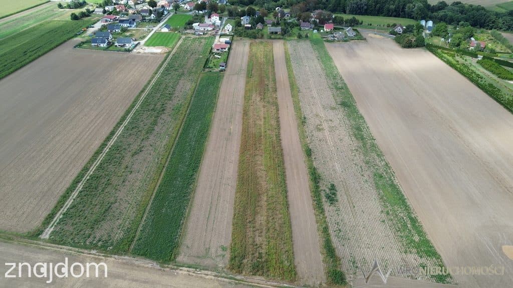 Działki na sprzedaż Januszkowice, gm. Długołęka - zdjęcie 2