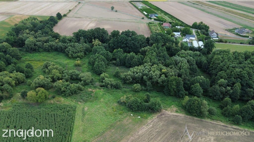 Działki na sprzedaż Januszkowice, gm. Długołęka - zdjęcie 6