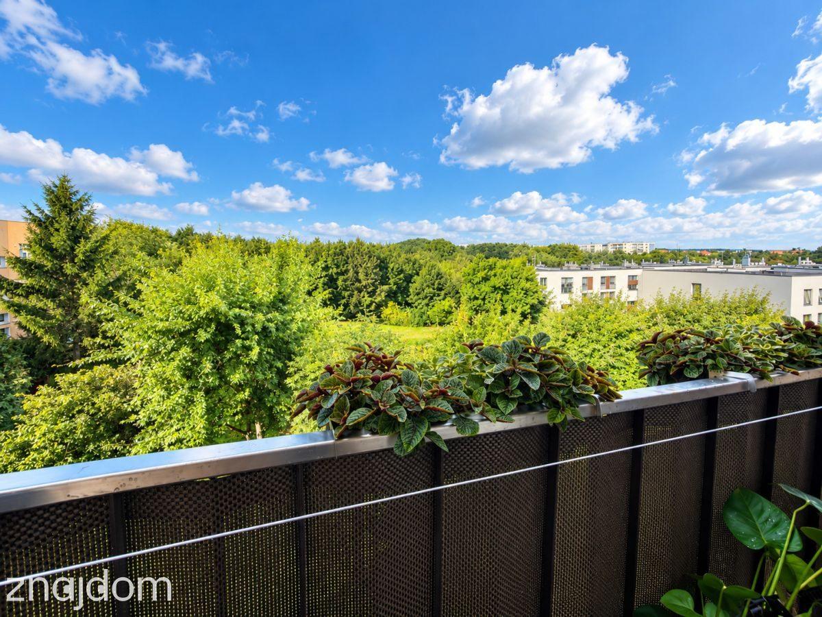 3 pokoje po remoncie, balkon, widok na zieleń - zdjęcie 5