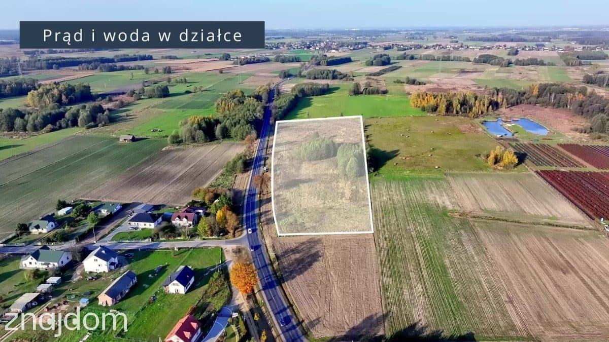 Potencjał inwestycyjny!3ha przy DK63 Siedlce-Łuków - zdjęcie 5
