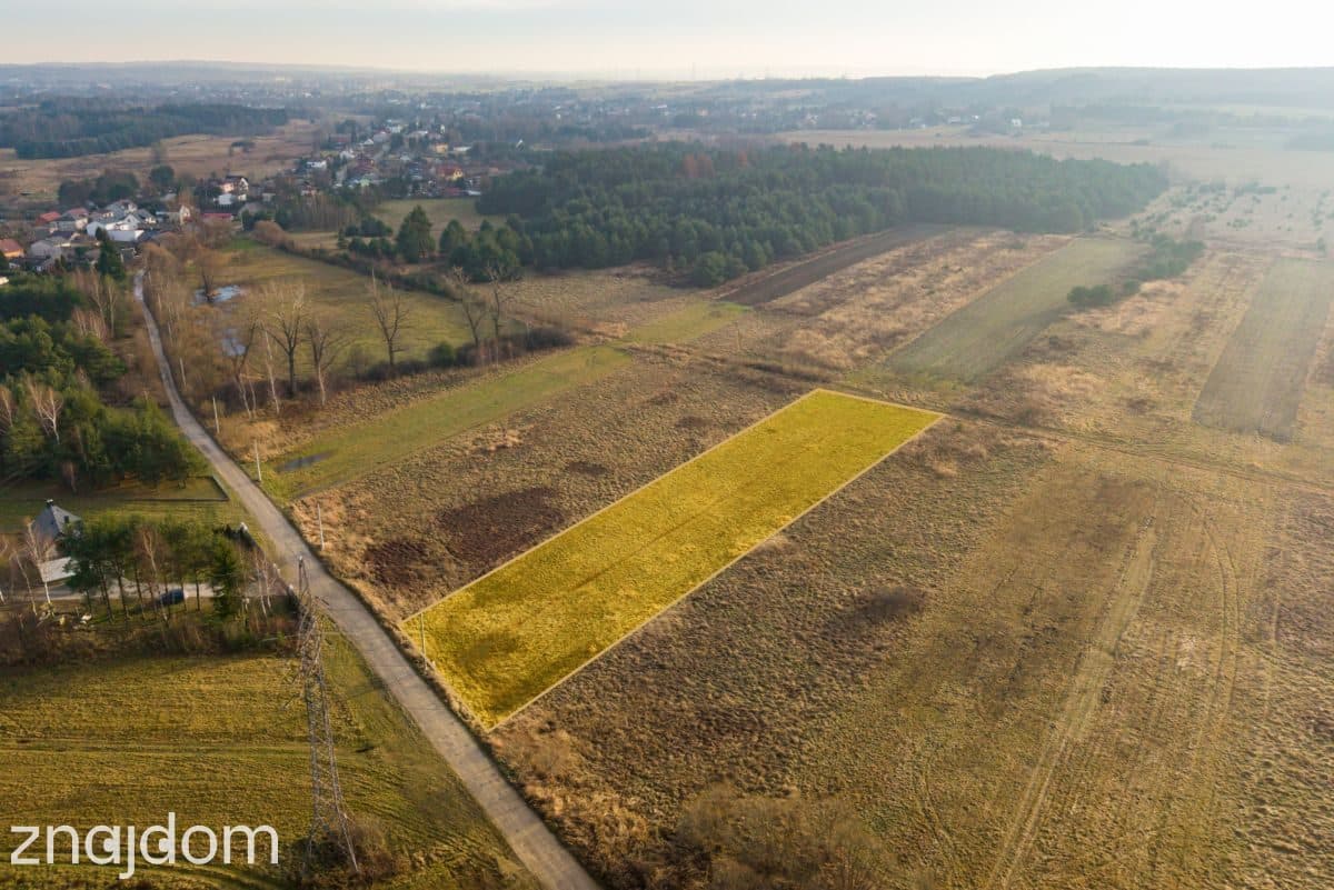 Zbuduj dom i miej własny las! - zdjęcie 5