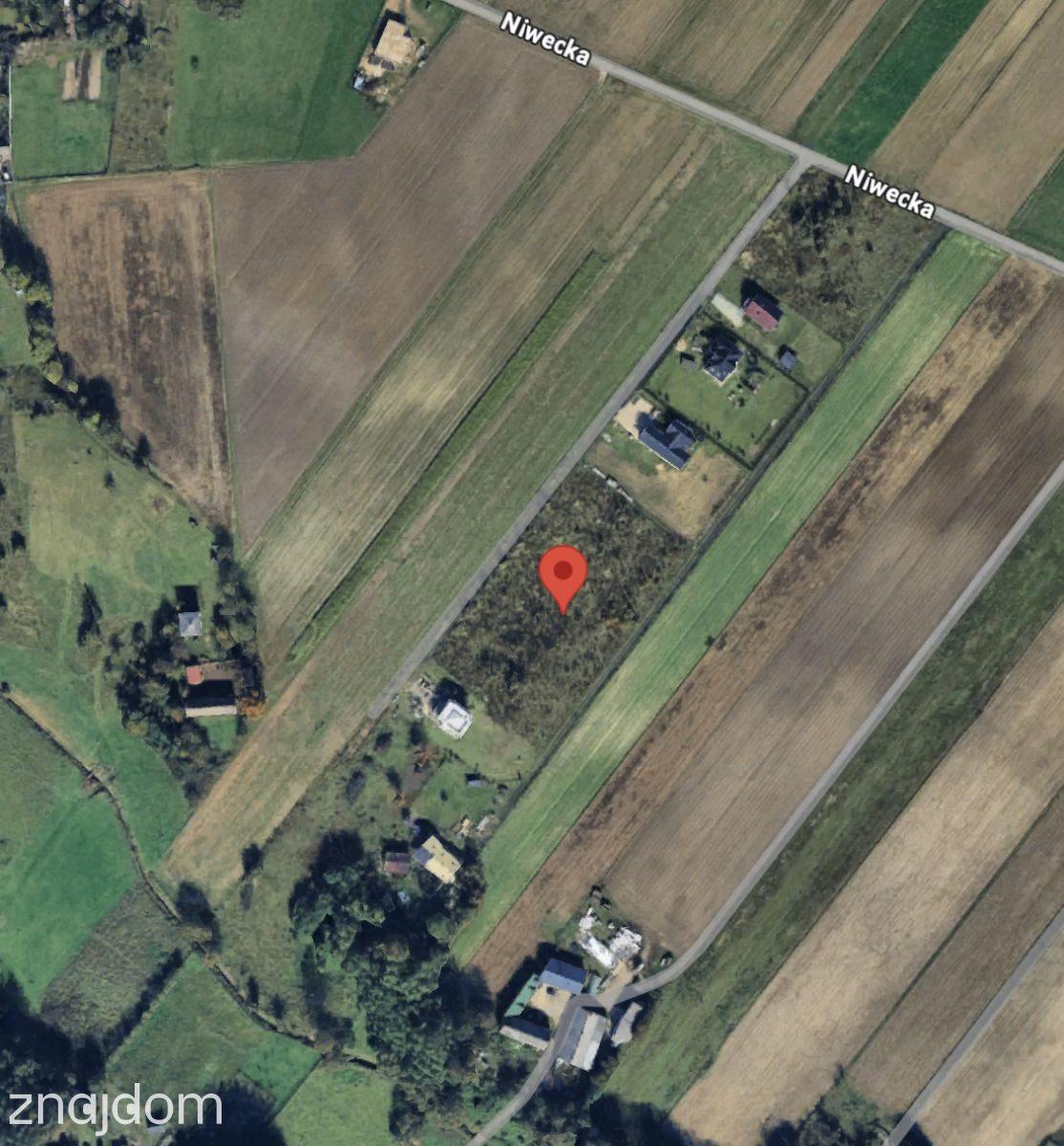 Duża działka z potencjałem-8193m2. - zdjęcie 2