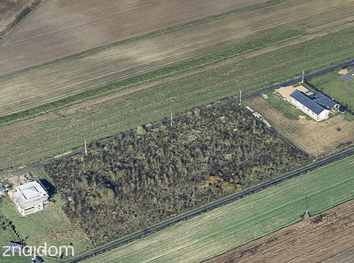 Duża działka z potencjałem-8193m2. - zdjęcie 9