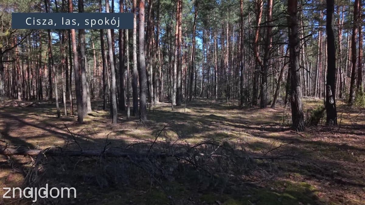 Działka z dala od miejskiego zgiełku - zdjęcie 4