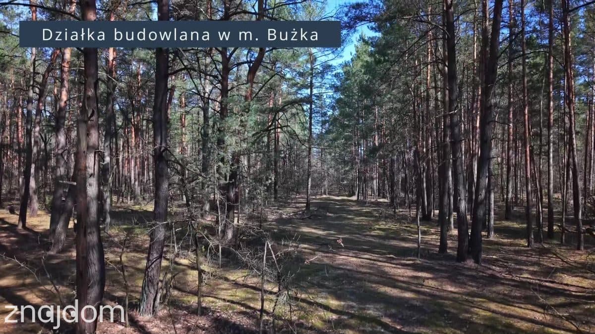 Działka z dala od miejskiego zgiełku - zdjęcie 8