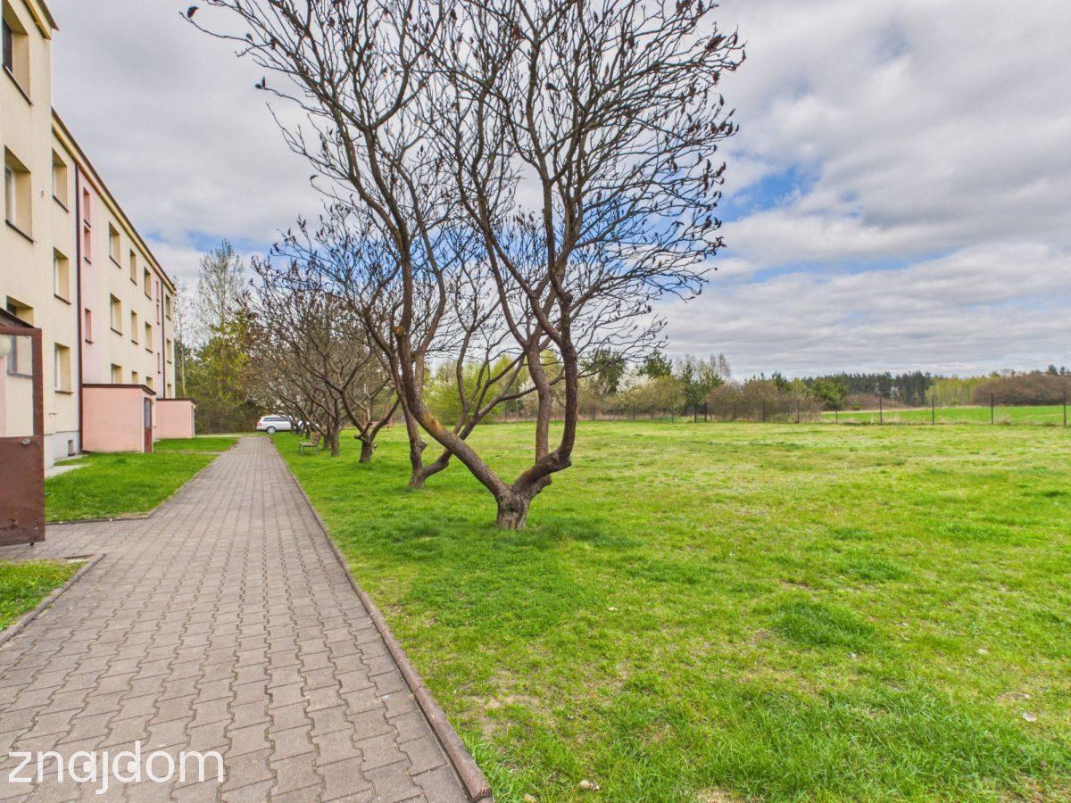 Unikat przy lesie z działką 600 m² - zdjęcie 15