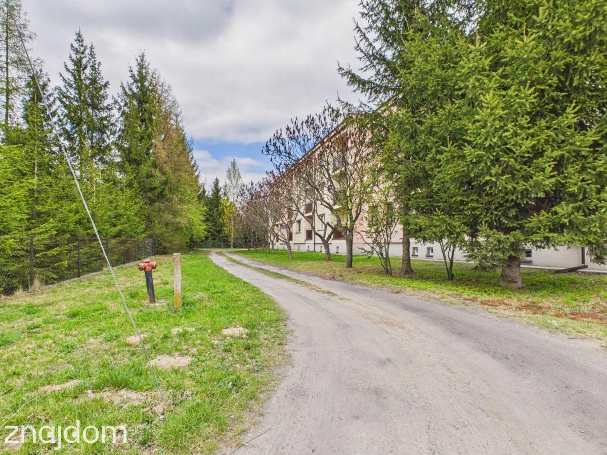 Unikat przy lesie z działką 600 m² - zdjęcie 11