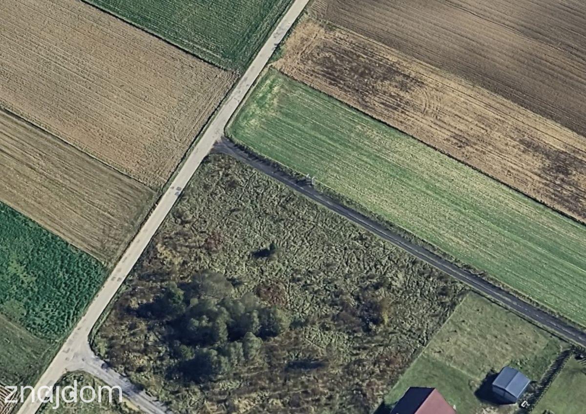Duża działka-3090 m2.Cisza, przestrzeń. - zdjęcie 5