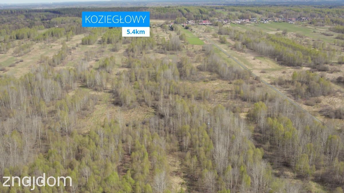 Duża działka budowlano-rolna.Zalew Poraj- 2,6 km - zdjęcie 5