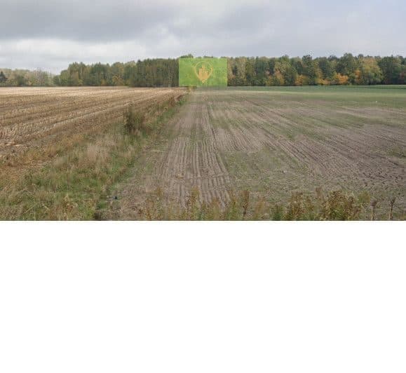 Działka leśna 1,01 ha - piękny teren wśród zieleni