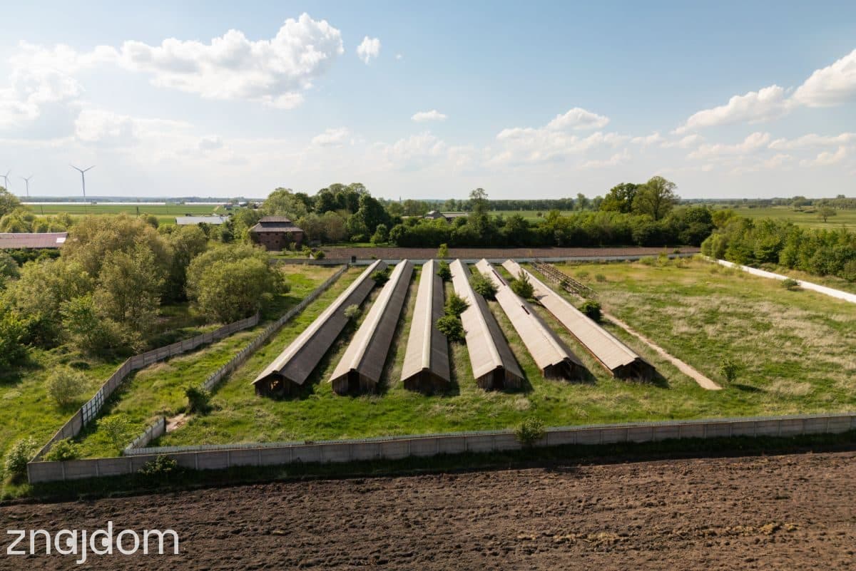 9,25 ha terenu inwestycyjnego z zabudowaniami - zdjęcie 7