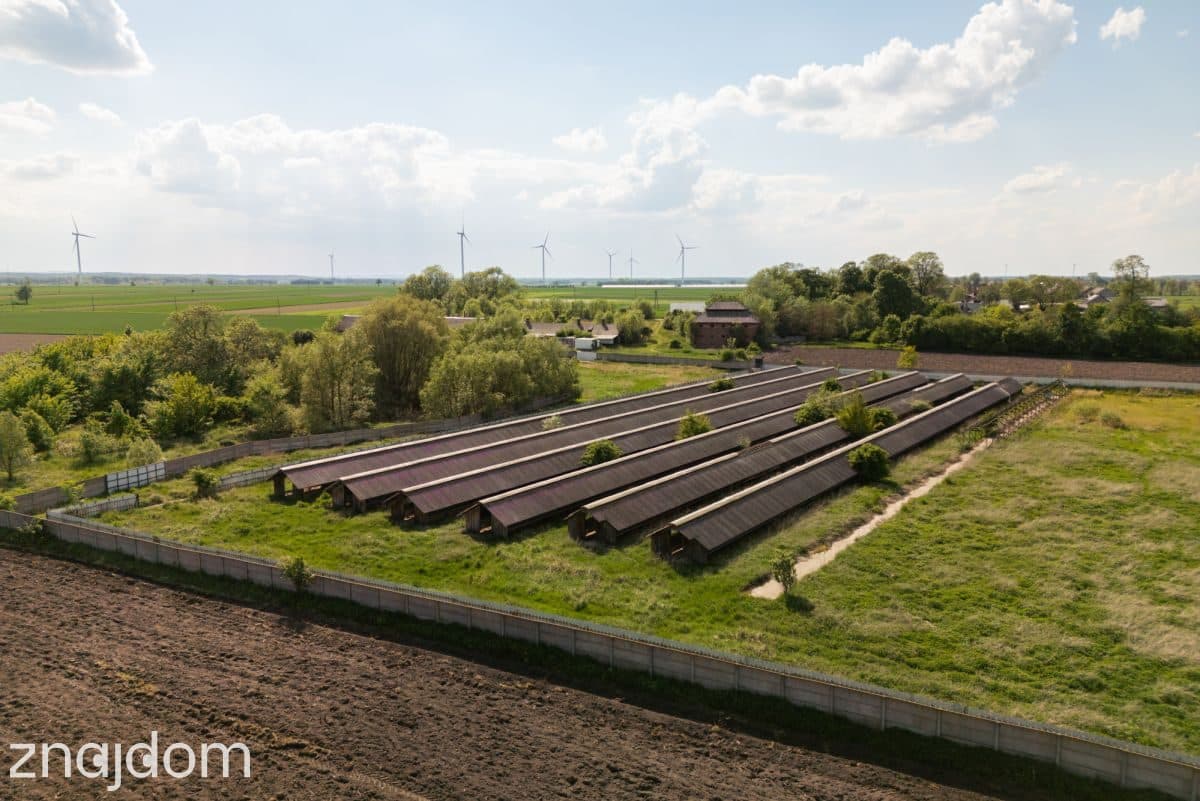 9,25 ha terenu inwestycyjnego z zabudowaniami - zdjęcie 8