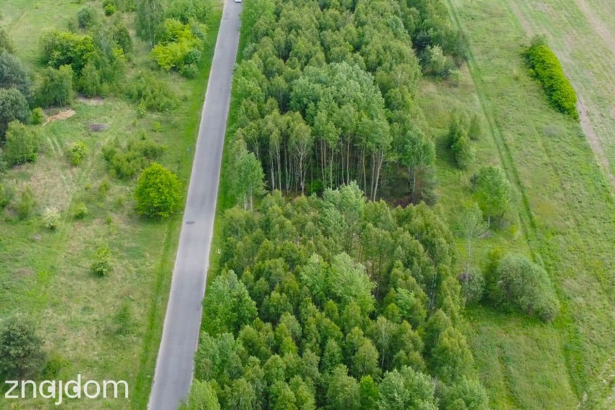 Wykarczowana działka z wydanymi WZ pod budowę domu - zdjęcie 5