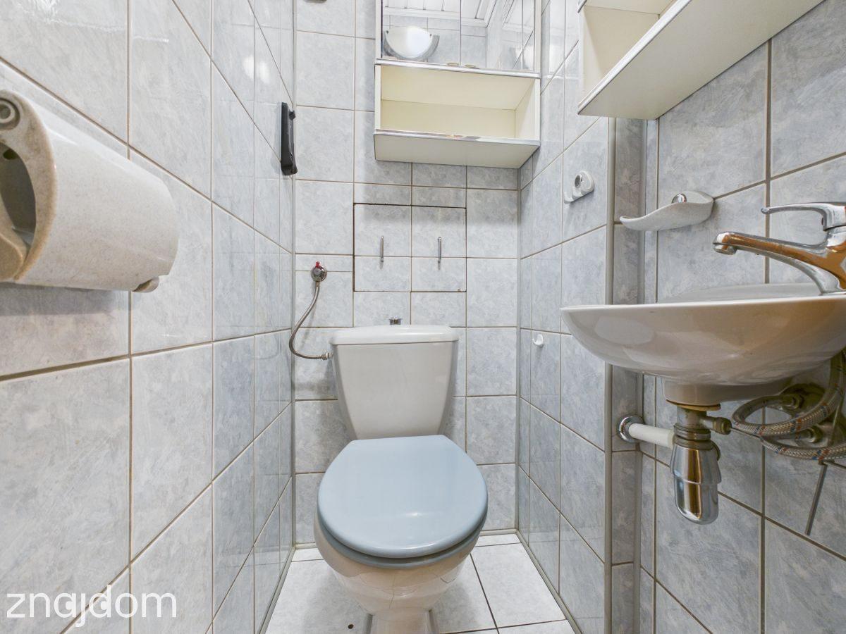 Cisza i spokój w centrum miasta - zdjęcie 19