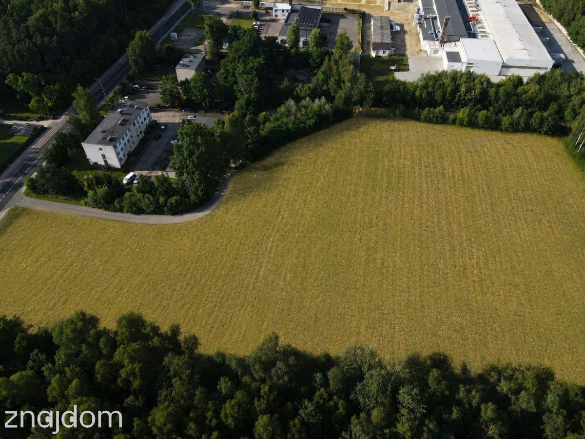 NOWA CENA -Teren inwestycyjny 2,65 ha przy DW 793 - zdjęcie 3