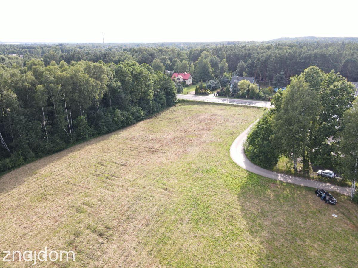 NOWA CENA -Teren inwestycyjny 2,65 ha przy DW 793 - zdjęcie 8