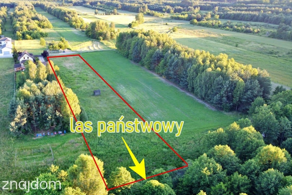 Ostatnia działka budowlana z MPZP przy lesie - zdjęcie 9